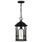 Quoizel Brampton 1-Light Matte Black Mini Pendant BRM1509MBK - alternate 5